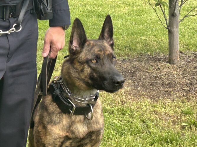 Wheeling Police Introduces New K9 Officer 'Geist'